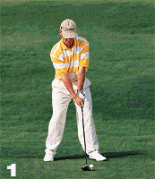 david duval's swing (86 kb)