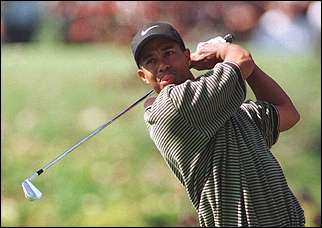 tiger woods (13 kb)